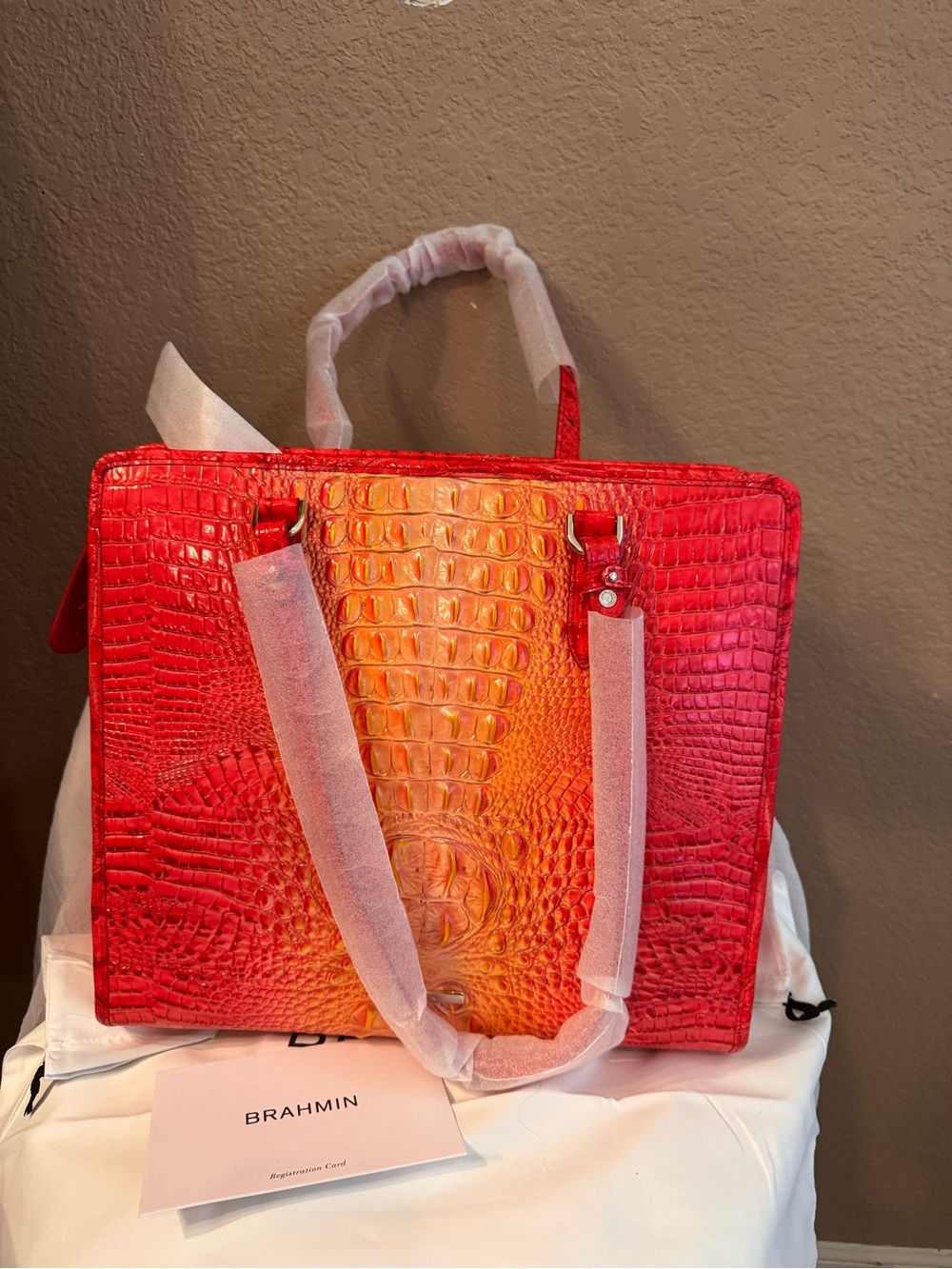 Brahmin purse new